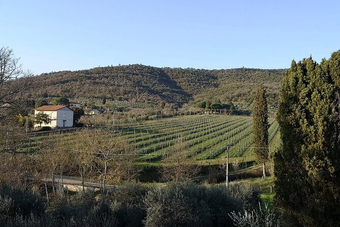 Wine & Oil Tasting Experience - FAQ