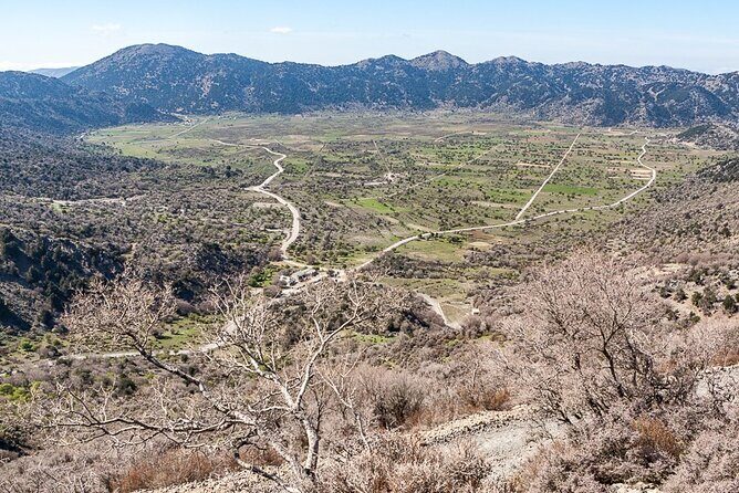 Wine & Olive Oil Tour with lunch at the White Mountains - Who Is This Tour Best For?