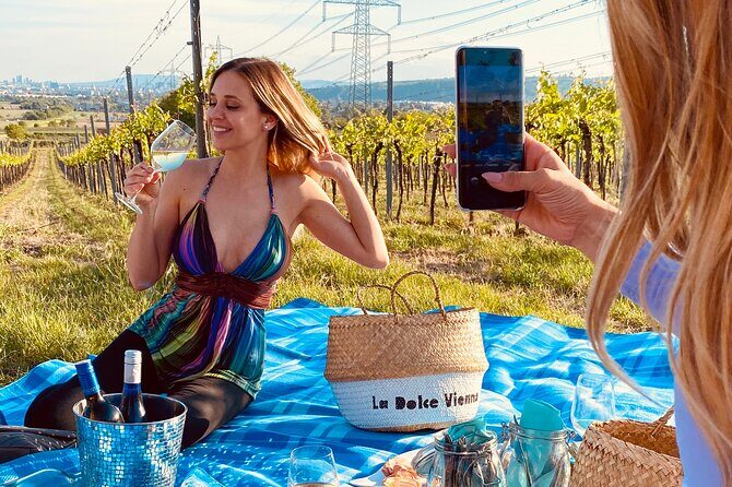 Wine Picknick overlocking vienna - An Experience Worth Considering in Vienna