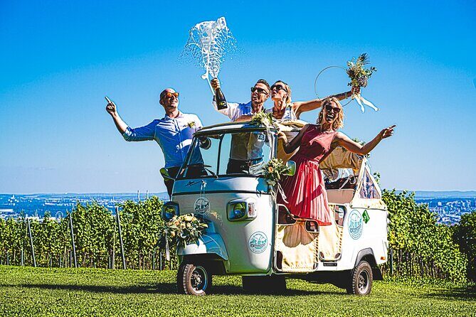 Wine Picknick overlocking vienna - Who Is This Tour Best Suited For?