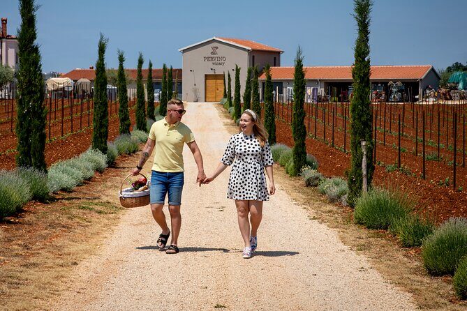 Wine picnic - Unpacking the Experience: What to Expect in Detail