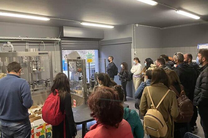 Wine Raki Olive Oil Tasting and Pottery - Private Tour - Key Points