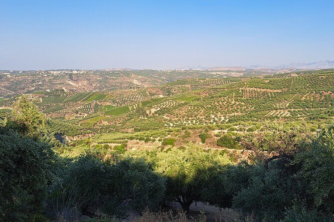 Wine Raki Olive Oil Tasting and Pottery - Private Tour - Who Will Love This Tour?