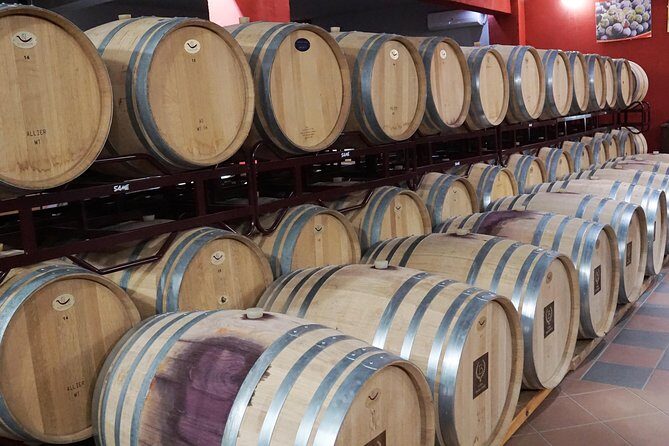 Wine Roads Private Day Tour: Corinth - Ancient Nemea & Wine Tasting - Final Thoughts