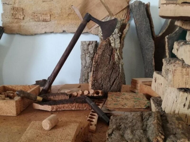 Wine , Roman Temple and Bone Chapel in half-day private tour - Key Points