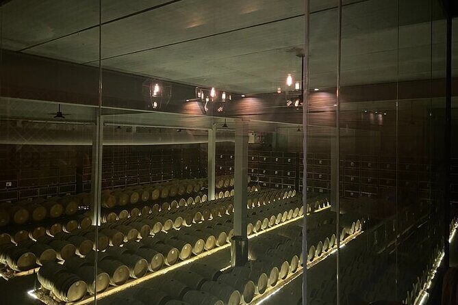 Wine Route !, Vineyards, wine tasting and pairing - Key Points