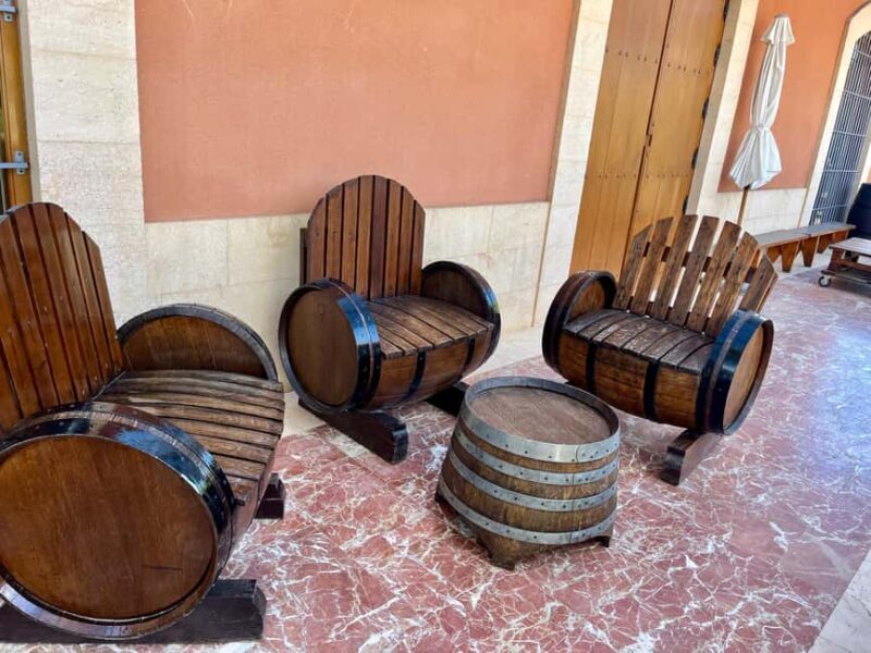 Wine Route with 3 Tastings & Castillo La Mola: Small Group - The Winery Experience: More Than Just Tasting