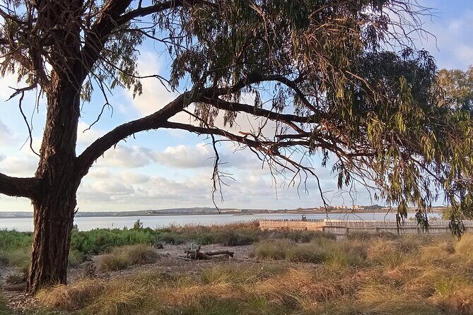 Wine route with tasting and pairing in the La Mata Natural Park - FAQ