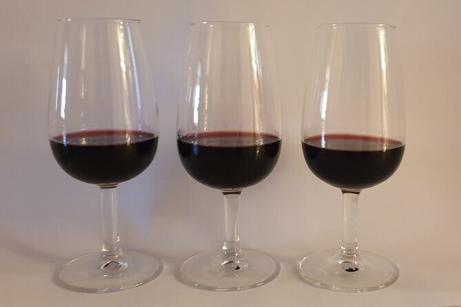 Wine & Scent Experience in Barcelona - Who Would Enjoy This?