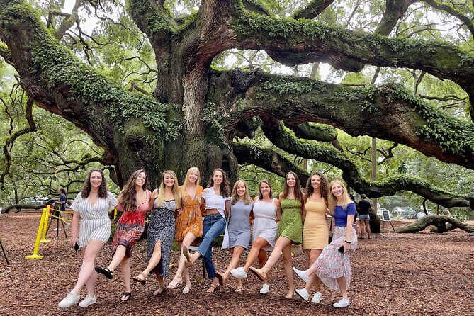 Wine Sippin'-Tea Drinkin'-Tree Huggin' Lowcountry Sightseeing - Transportation and Group Dynamics