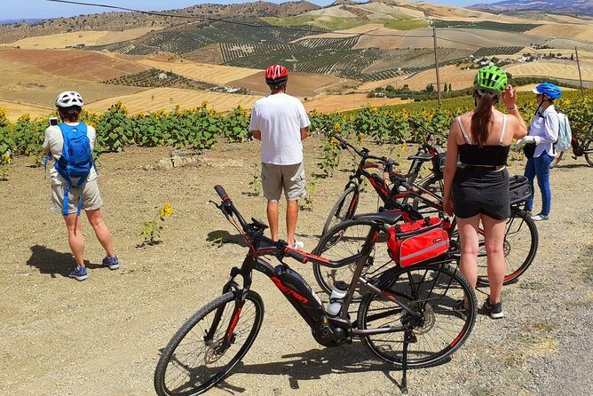 Wine, Tapas & Lake Zahara by e-bike incl Ronda pickup (full day) - Who Is This Tour Best For?