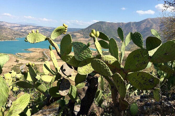 Wine, Tapas & Lake Zahara by e-bike incl Ronda pickup (full day) - Final Thoughts