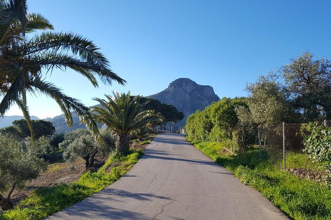 Wine & Tapas tour by electric bike (e-bike) including Ronda pickup (full day) - FAQ