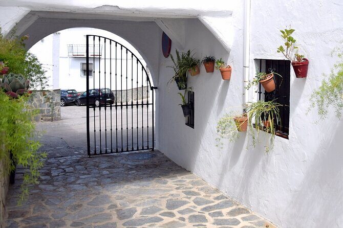 Wine & Tapas tour by electric bike (e-bike) including Ronda pickup (half day) - What Travelers Are Saying