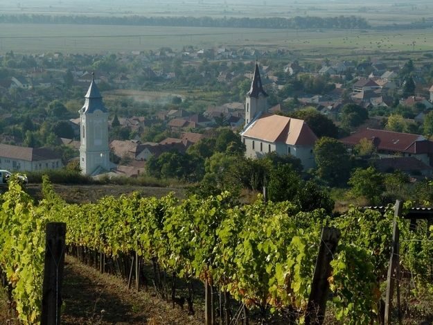 Wine taste in Tokaj Private Day Tour from Budapest - Frequently Asked Questions