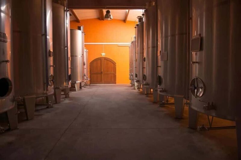 Wine tasting and a visit to the winery - A Friendly Introduction to the Winery Tour