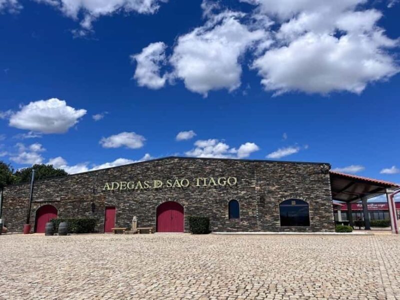 Wine tasting and a visit to the winery - Practical Details: Booking, Accessibility, and Considerations