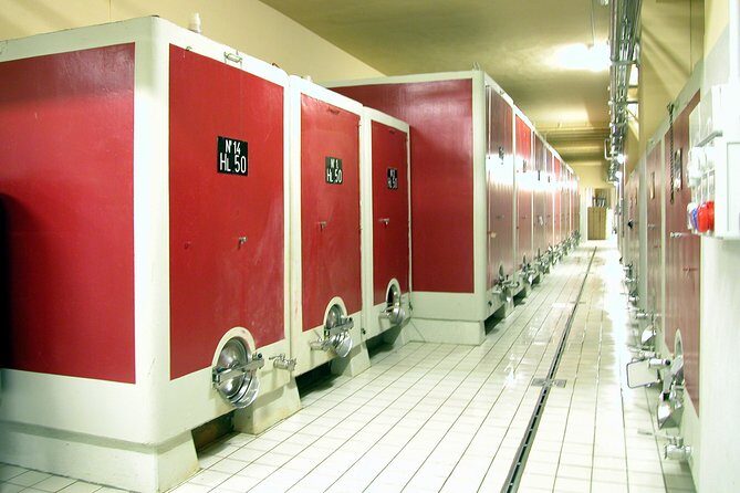 Wine tasting and guided tour of the cellar - What to Expect from the Fattoria Sorbaiano Tour