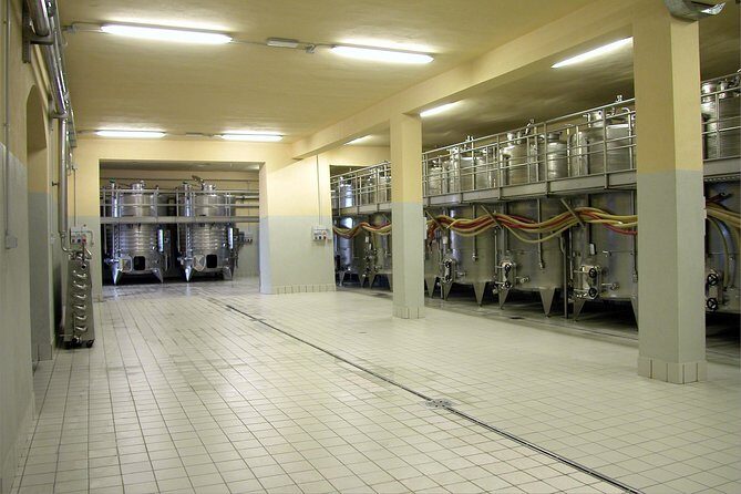 Wine tasting and guided tour of the cellar - Is It Worth the Price?