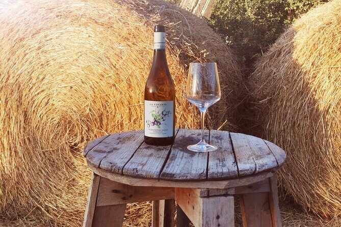 Wine Tasting and Guided Visit to the Vineyard and Cellar in S. Maria Imbaro - Who Is This Tour Best For?