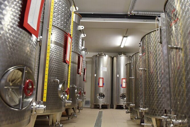 Wine Tasting and Guided Visit to the Vineyard and Cellar in S. Maria Imbaro - FAQs