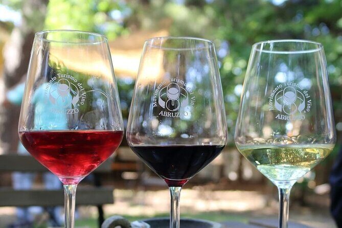 Wine Tasting and Guided Visit to the Vineyard and Cellar in S. Maria Imbaro - Final Thoughts