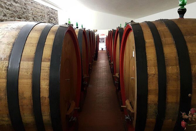 Wine tasting and horseback riding in Montepulciano, in Tuscany from Rome - Who Will Love This Tour?