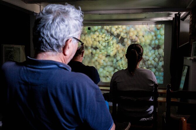 Wine tasting and immersive cellar tour - Final Thoughts