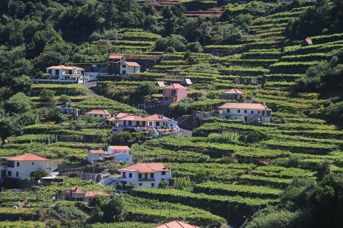 Wine tasting and Jeep Adventure in Madeira's Majestic Countryside - Key Points