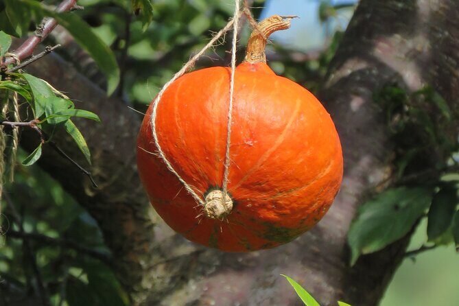 Wine tasting and Jeep Adventure in Madeira's Majestic Countryside - Who Would Enjoy This Tour?