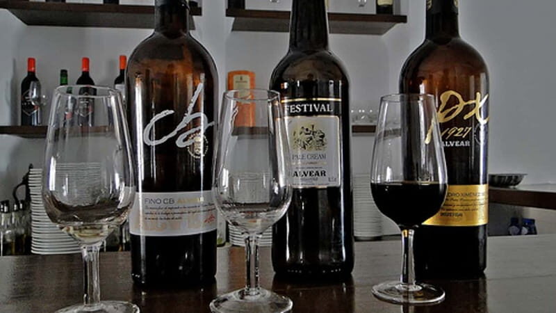 Wine Tasting and local tapas delight in Cordoba - An Honest Look at the Córdoba Wine & Tapas Tour