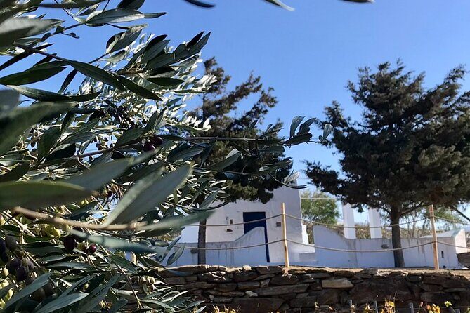 Wine Tasting and Tour in Saint Anna Winery in Naxos - The Good and the Not-So-Good