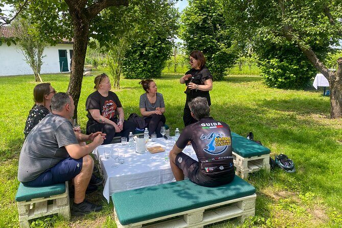 Wine Tasting and Tour of Lugana Wines in Sirmione - What to Expect from the Tour