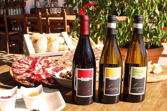 Wine Tasting and Tour of Lugana Wines in Sirmione - In The Sum Up