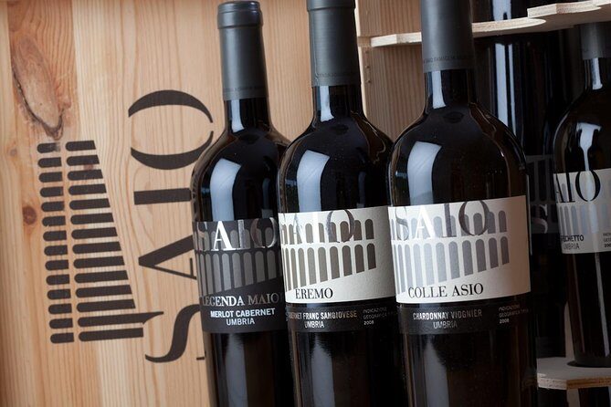 Wine tasting and walk in the Vineyard of Assisi - Value for Money