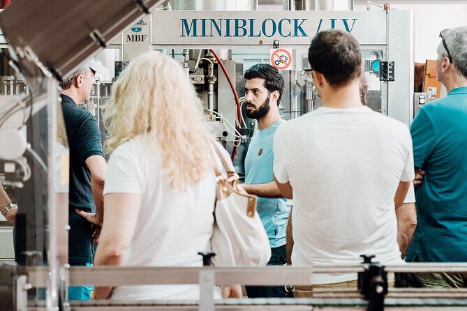 Wine tasting and winery tour at Fikardos Winery - Food and Pairings