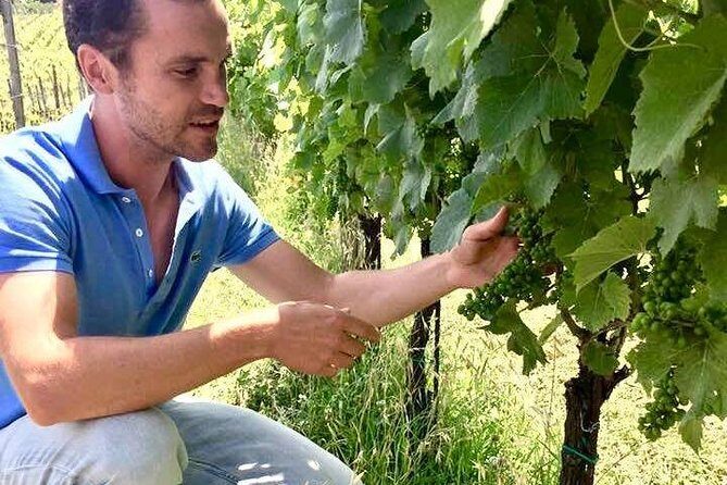 Wine Tasting and Winery tour - What to Expect: Practical Details