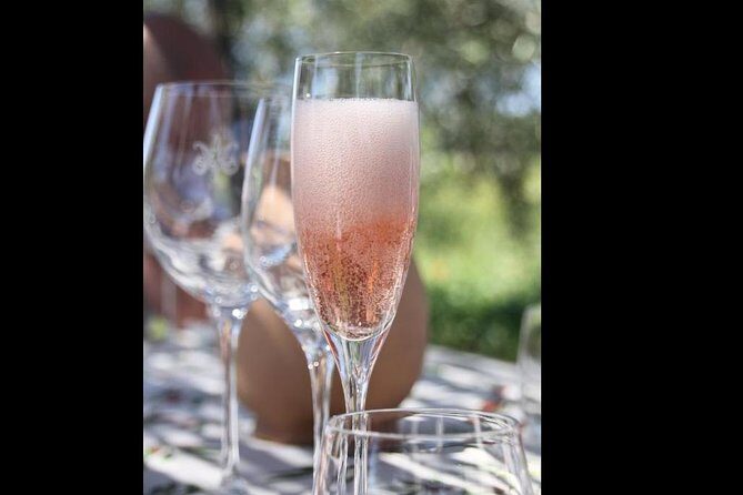 Wine Tasting and Winery tour - Who Should Consider This Tour?