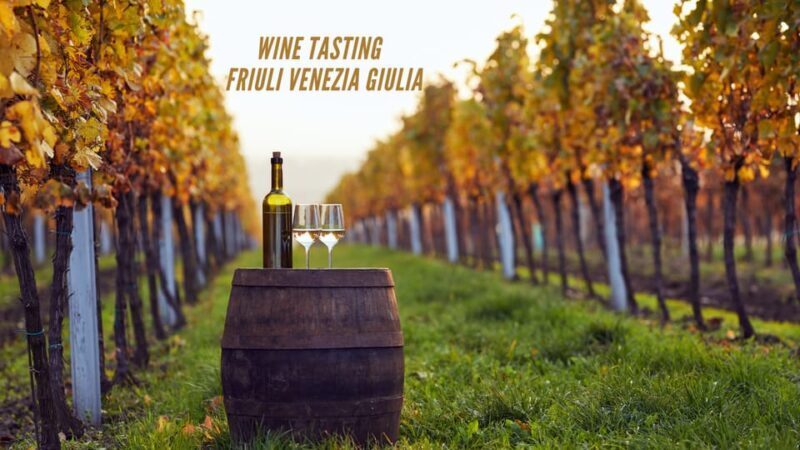 Wine tasting and winery tour in Friuli Venezia Giulia - Exploring the Friuli Venezia Giulia Wine Tour