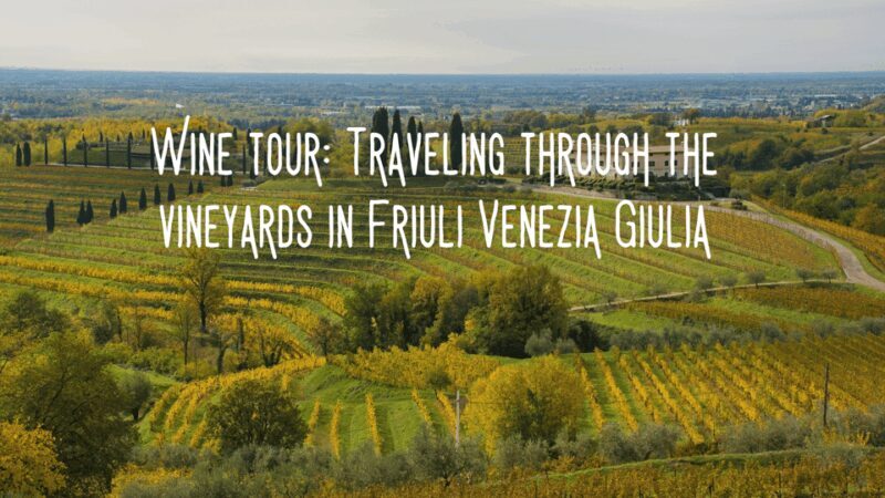 Wine tasting and winery tour in Friuli Venezia Giulia - The Itinerary: What to Expect
