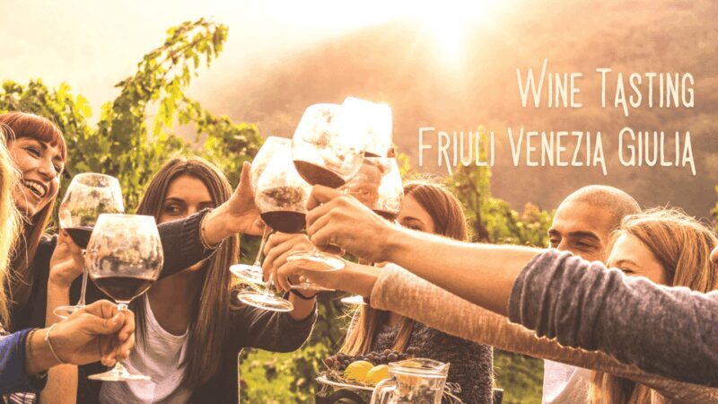 Wine tasting and winery tour in Friuli Venezia Giulia - Why This Tour Works Well