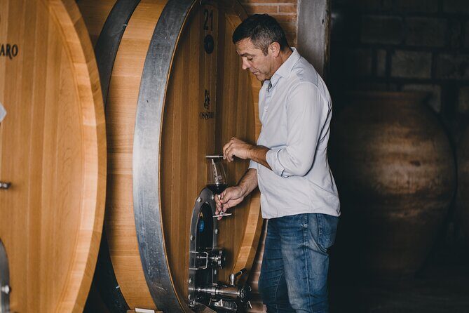 Wine Tasting and Winery Tour in Vesuvio National Park with Lunch - Key Points