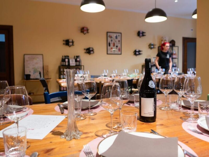 Wine Tasting and Winery Visit near Asti and Turin - A Close Look at the Experience