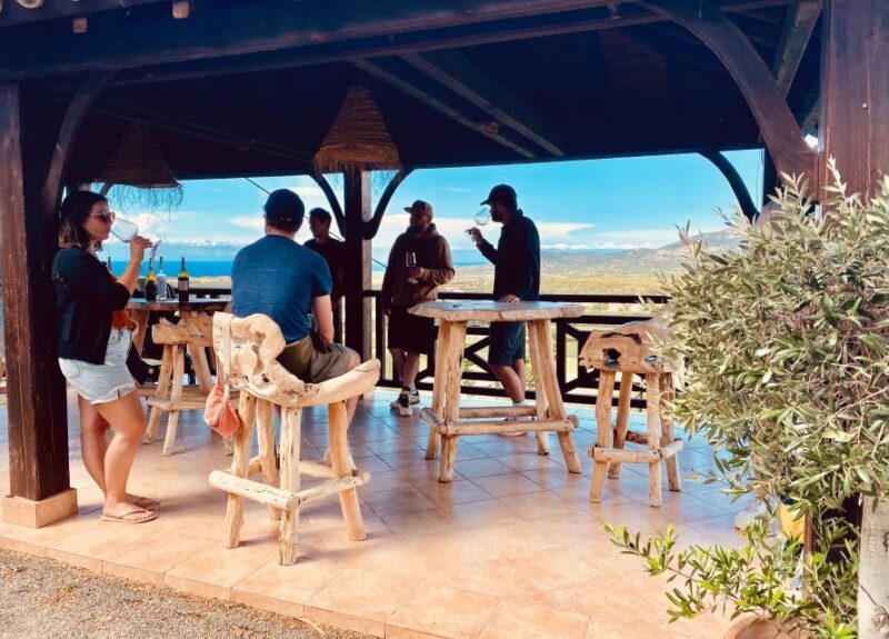 Wine tasting around Ile rousse & Calvi with Transport - Frequently Asked Questions