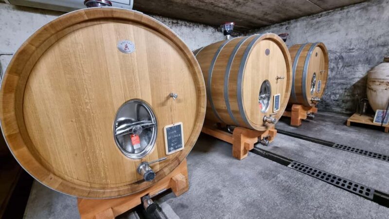 Wine tasting at Château Capion - A Closer Look at the Château Capion Experience