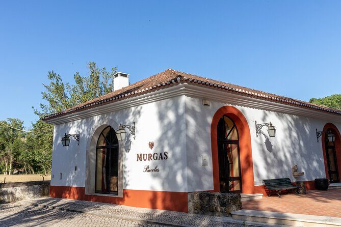 Wine tasting at Quinta das Murgas - What Makes This Tour Stand Out?