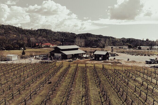 Wine Tasting Audio Tour - Calaveras County - Who Should Consider This Tour?