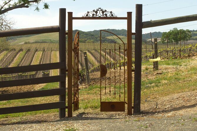 Wine Tasting Audio Tour - Paso Robles CA - A Deep Dive Into the Experience