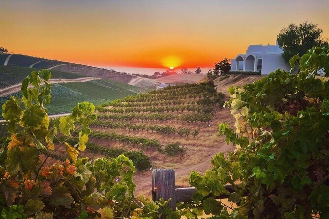 Wine Tasting Audio Tour - Paso Robles CA - Frequently Asked Questions