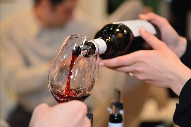 Wine Tasting - A Down-to-Earth Look at the Puglia Wine Tasting Tour